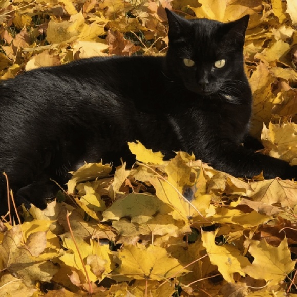 Meet your Posher, Carrie - Picture 8 of 8